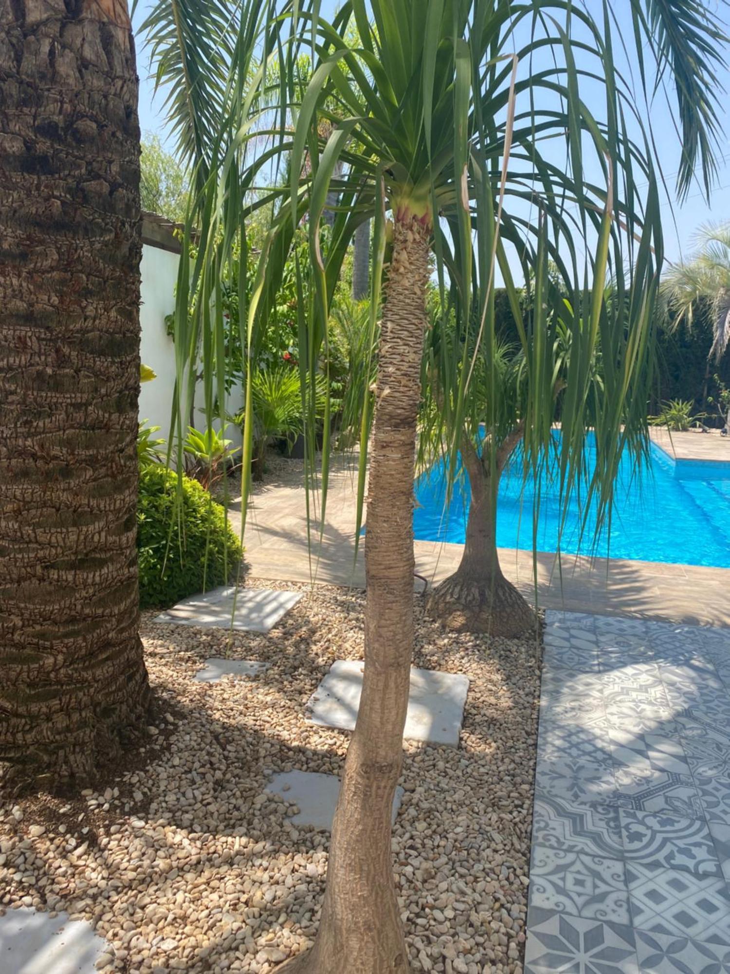 Bohospanishvilla Moraira Luaran gambar